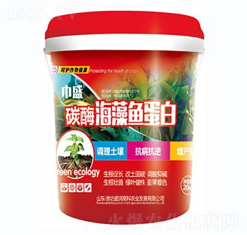 ̼ø�����~����-��ʢ-ʢ���߿�