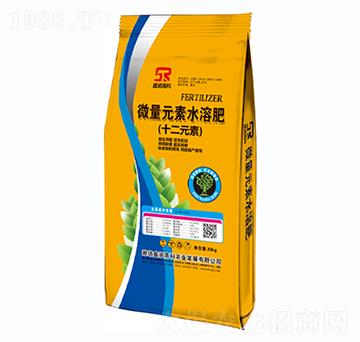 ΢��Ԫ��ˮ�ܷ�-ʮ��Ԫ��-ʢ��(r��n)�߿�