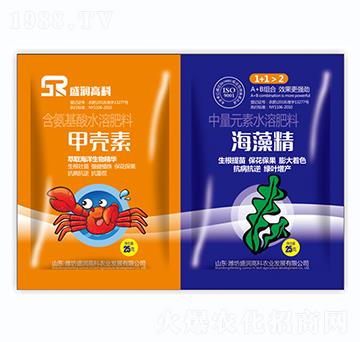 �ך���+���徫-ʢ���߿�