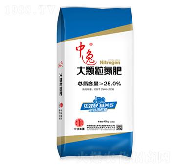 ���w������-�����r(n��ng)�I(y��)