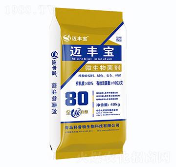 ΢�������-�~�S��-������