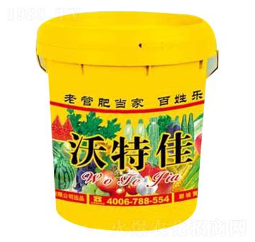 ���ؼ�-�����طʘI(y��)