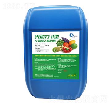 5-������������-���(d��ng)��II��-������