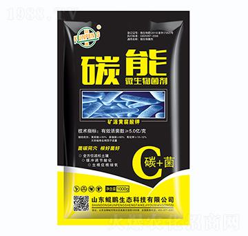 ̼��΢�������-�H�i���B(t��i)