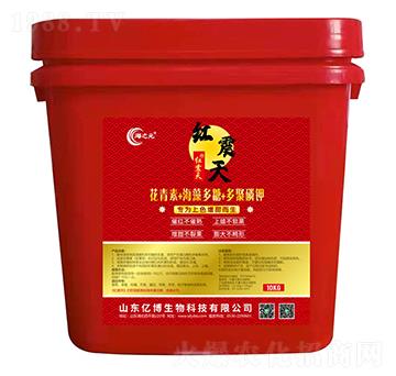 10kg������+�������+������-�|������
