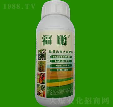 500ml΢��Ԫ��ˮ�ܷ���-���i-Ӣ��