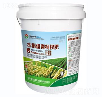 ˮ�������辷�-ʩ�۸�