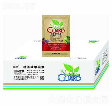 ����̼�ך���15-5-20+TE-�����r�I(y��)