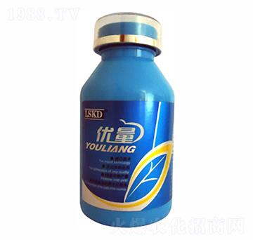 ��(y��u)��-�R�˿��D