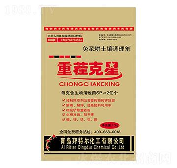 �ز����-���ؠ�