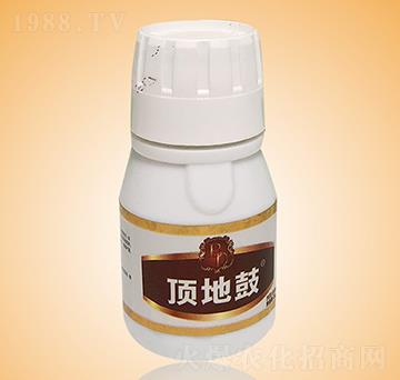 �������a(ch��n)��(zhu��n)���~���-�?sh��)ع?���c(di��n)����