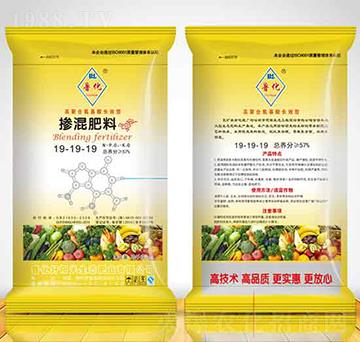 �����LЧ�͓������19-19-19-������ꖹ�