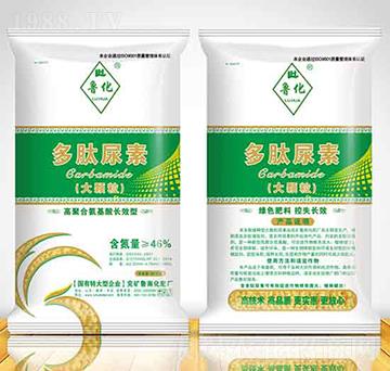 ���Ĵ��w������-������ꖹ�