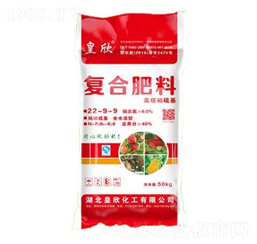 �ͺϷ���22-9-9-��������