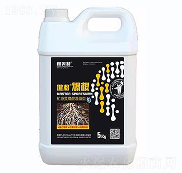 �VԴ�S���ả����-����������-������