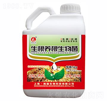 �����B(y��ng)�������-�t������