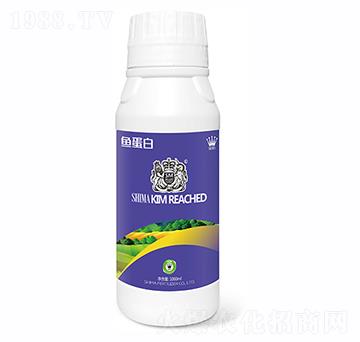 �~(y��)����1000ml-�{�R�ʘI(y��)