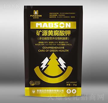 �VԴ�S�����-�~��ɭ