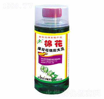 �����������`-�ѿ�