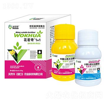 �ڷ�������(zhu��n)�ýM��-������1+1-�ֿ��A