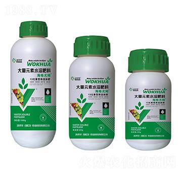 13Ԫ�ؠI(y��ng)�B(y��ng)���w��-�ֿ��A