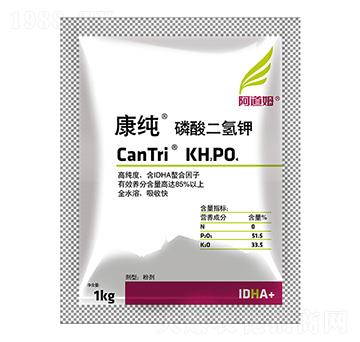 ��������-����-����ķ