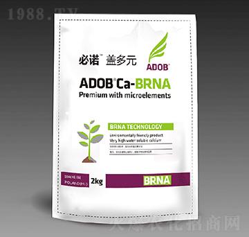 �w��Ԫ-���Z-����ķ