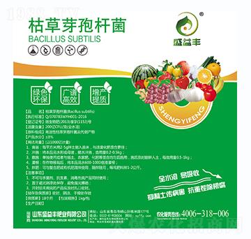 �ݲ�ѿ�ߗU��-ʢ���S