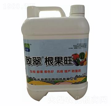 ������-�´�����