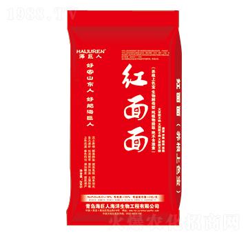 �t���棨�B(y��ng)����ɫ����-������