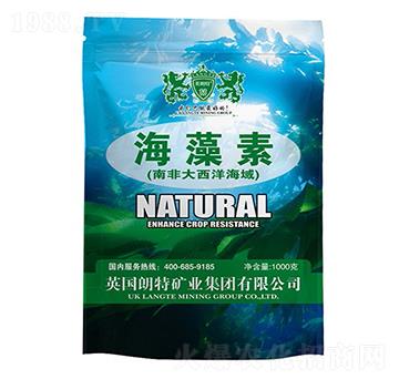 1000g������-Ӣ����