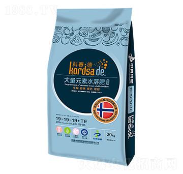 ��(j��ng)��(j��)�������L(zh��ng)�ڌ���ˮ�ܷ�19-19-19-��ِ��-�r(n��ng)������