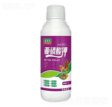 �������-�P�T��Դ