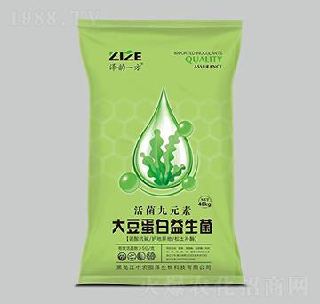 �󶹵���������-�����Ԫ��-���r���