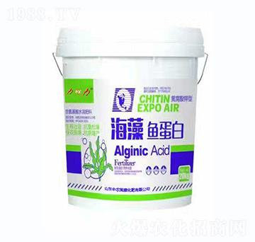 �����~(y��)����-���r(n��ng)����