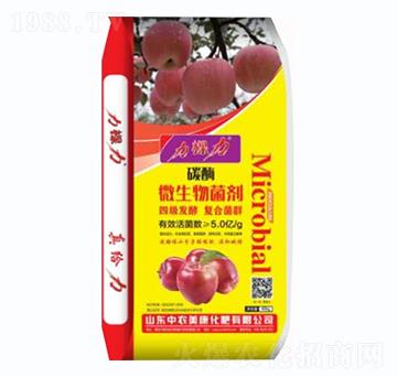 ̼ø΢�������-������-���r����