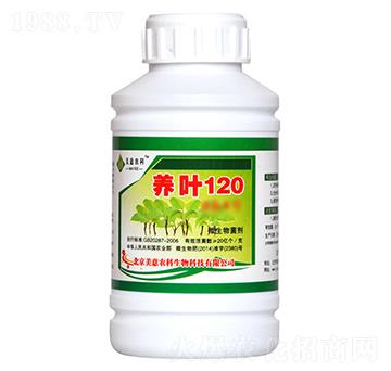 ΢�������-�B(y��ng)�~120-�����r��