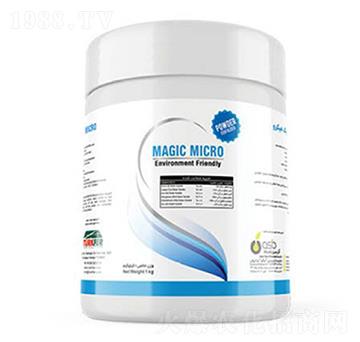 Magic Micro-�ָ���