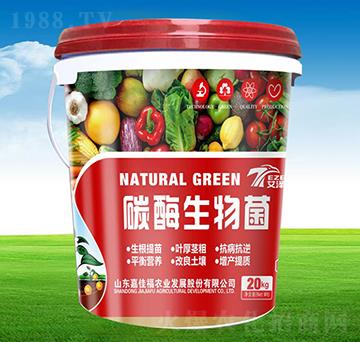 ø�������-�μѸ�