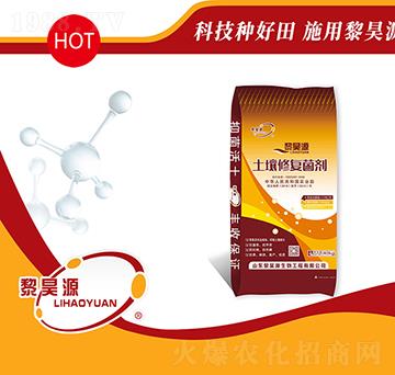 40kg�����ޏ�(f��)����-