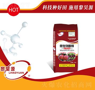 2�|΢�������-���Դ