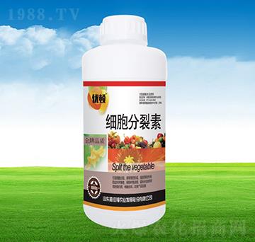 ����������-�μѸ�