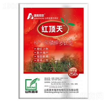 ��⛶�����-�t���-��