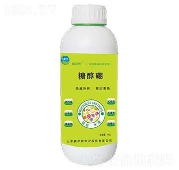 �Ǵ���-������-������