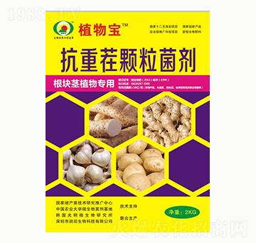 ���ز��w������-��(r��n)������