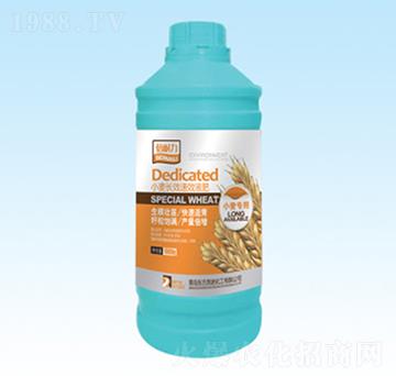 С���L(zh��ng)ЧҺ��-�|��Ӣ�Z