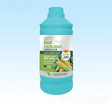 ���׌�(zhu��n)�ÿ����ֿs���L(zh��ng)��-�|��Ӣ�Z