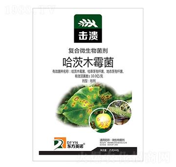 ����ľù��-����-�|��Ӣ�Z