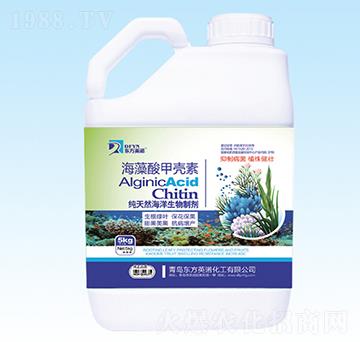 ������ך��؛_ʩ��-�|��Ӣ�Z