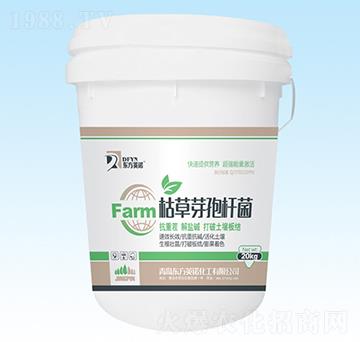 �ݲ�ѿ�ߗU��-�|��Ӣ�Z